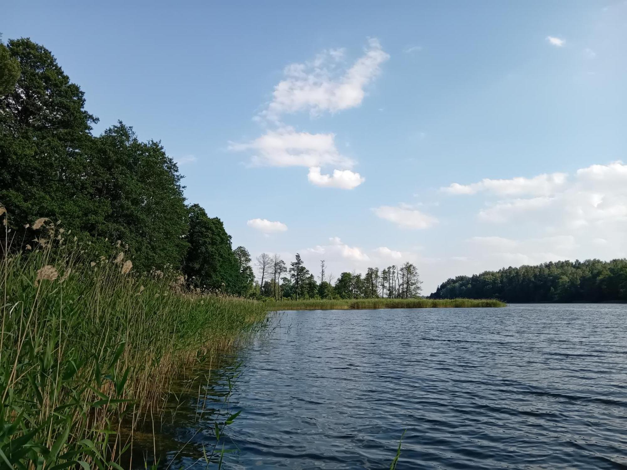Pokoje Goscinne Sloneczny Klon Dabrowno 외부 사진
